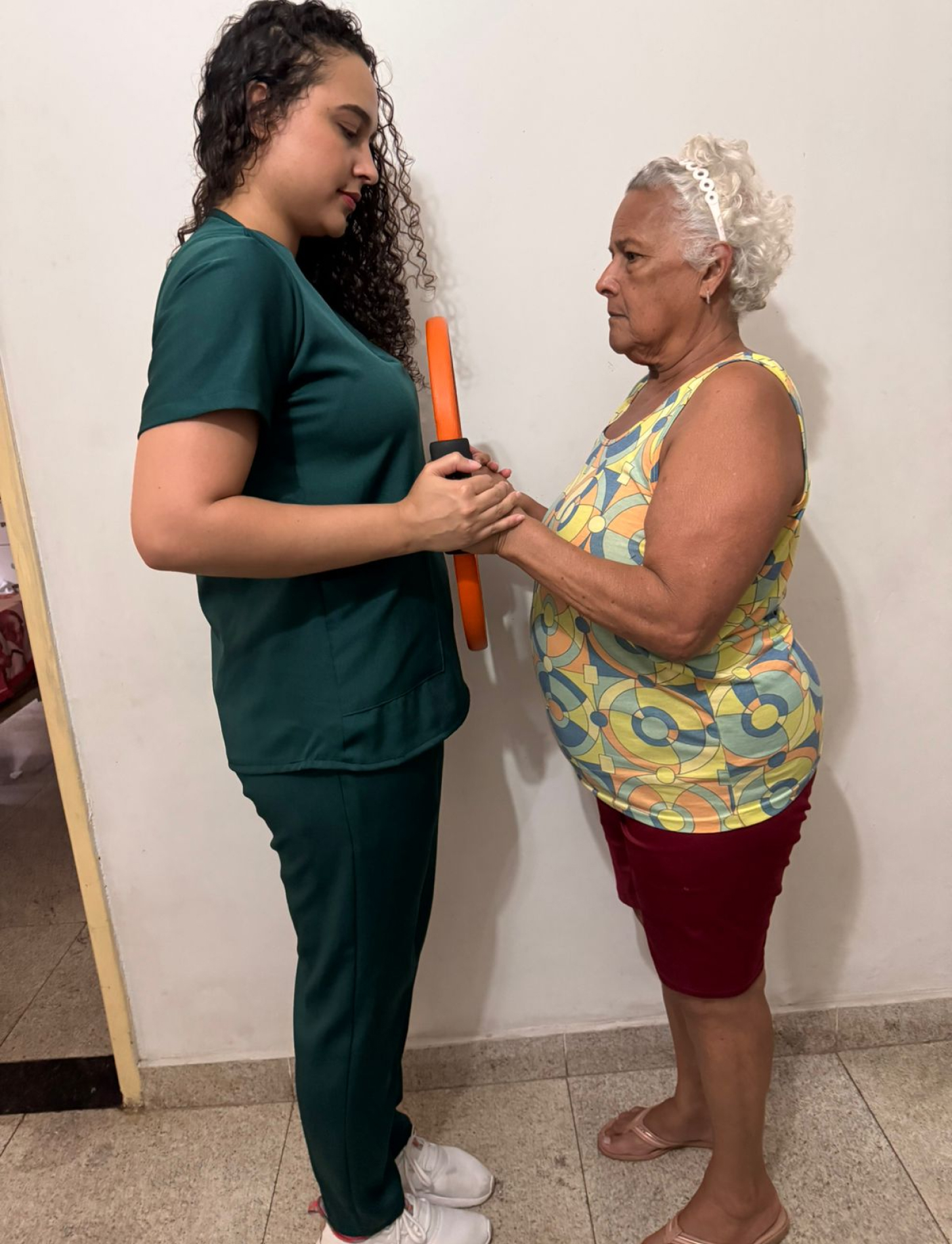 Fisioterapia para <br>Idosos